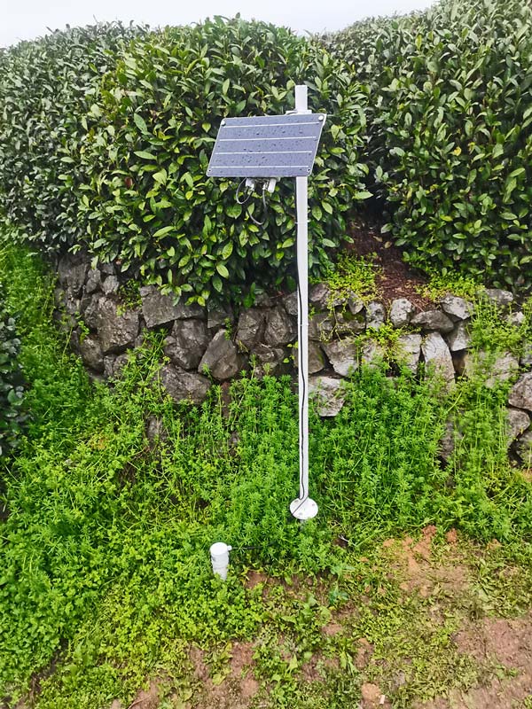 杭州西湖龍井村茶園土壤墑情監測儀項目